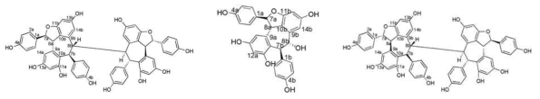 Hopeaphenol (peak 2), ampelopsin A (peak 3), isohopeaphenol (peak 4)의 구조