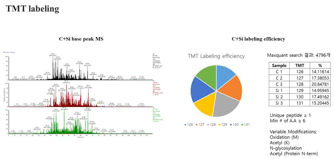 TMT labeling