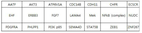 Cancer Driver Variants - 30 variant gene list