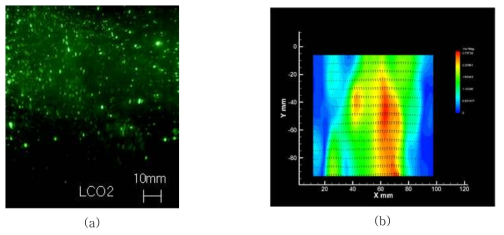 (a) cold flow visualization with laser scattering method, (b) velocity distribution of cold coal-LCO2 jet for preexpansion feeding