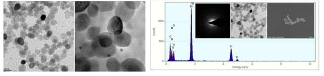 가스(대기)속 TiO2 나노입자 In-situ gas cell TEM 및 EDS 성분분석