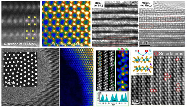 Edge exposed MoS2 , Se-rich MoSe2 구조, 흡착 및 반응성 향상