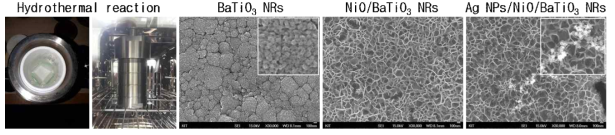 Hydrothermal reaction을 통해 합성된 BaTiO3 NRs, NiO/BaTiO3 NRs, Ag NPs/NiO/BaTiO3 NRs의 SEM 영상