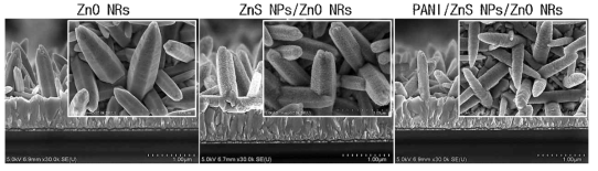 Electrodeposition reaction을 통해 합성된 ZnO NRs 및 PANI/ZnS NPs shell