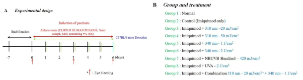 Experimental induction of Imiquimod-Induced Psoriasis-Like Skin Inflammation