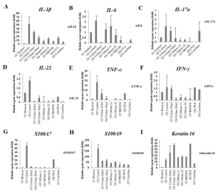 Effects of UV-LEDs irradiation on mRNA transcripts expression levels of Th cells-related inflammatory cytokines in back skin tissue on Day 6. Normal control animals received neither IMQ nor vehicle cream. The mRNA levels of (a) IL-1β, (b) IL-6, (c) IL-17a, (d) IL-22, and (e) TNF-ɑ, (f) IFN-γ, (g) S100A7, (h) S100A9, (i) Keratin 16 were measured. Inflammatory cytokine levels were measured using ELISA kits. The data are presented as means ± SD of changes in values. *p < 0.05 and **p < 0.01 compared to the controls (n = 6)