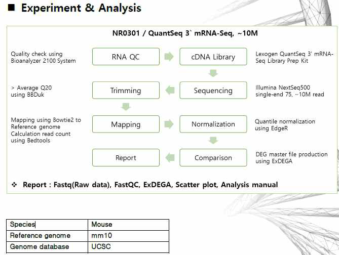 1, 2차년도 세포 및 동물 실험의 결과를 실험적으로 증명하기 위하여 건선 마우스 조직을 이용하여 QuantSeq 3´ mRNA-Seq를 진행하였으며 실험 순서는 다음과 같음