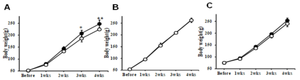 투여 시작 연령별 체중 변화량의 차이 (A) 생후 22일, (B) 생후 25일, (C) 생후 29일째 투여한 대조군과 투여군의 체중 변화. open circle, 대조군(N=4); closed circle, RAI 치료군(N=4). *, p< 0.05; **; p<0.01 vs. 대조군