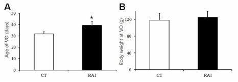 Vaginal opening이 관찰된 시기의 연령 및 체중 (A) VO 관찰 연령 (B) VO관찰 시의 체중. VO, vaginal opening; CT, 대조군; RAI, 치료군
