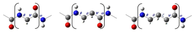 Chemical structures of building blocks of α-, β- and γ-peptides