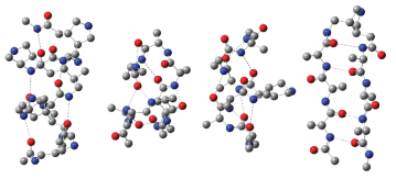 H16 helix structure of dApa hexamer (a); the most preferred structure (b), π-helix strucxture (c), and β-hairpin structurte of Ac-Ala3-(δApa-1)-Ala3-NHMe