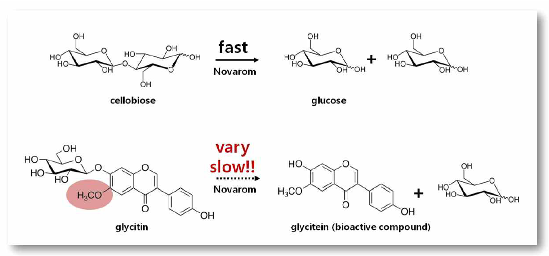 Novarom의 기질별 가수분해 예시. 상용 효소인 Novarom의 경우 일반기질은 가수분해를 잘 할 수 있으나, glycitin의 활성증대를 위해 glucosyl residue의 가수분해에는 부적합하다. 따라서 배당체의 당 수식을 위해서는 각 배당체의 특성에 맞는 가수분해 효소가 요구된다. 한 예로, 본 과제 수행을 통하여 glycitin의 가수분해에 특화된 효소를 선별하고 산업적으로 활용할 수 있다