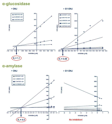 DNJ와 G1-DNJ의 주요 탄수화물 가수분해효소에 대한 inhibition pattern 비교