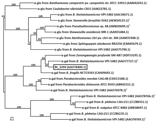 B. thetaiotaomicron 유래의 보고된 GH 97 enzyme과 Bt_3294의 phylogenetic analysis