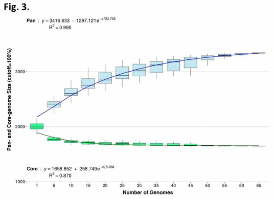 Pan-genome and core-genome prediction curves obtained from the genomes of 66 S. agalactiae isolates. The final pan- and core-genome sizes were 3,416 and 1,658 genes, respectively