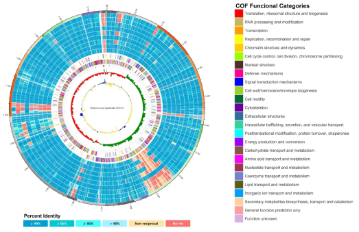 Circular representation of S. agalactiae genomes using comparative genome hybridization (CGH). Inner circle: Blue indicates GC ratio higher than average value and yellow indicates GC ratio lower than average value. Second circle: Green indicates positive GC skew value and red indicates negative GC skew value. Both GC ratio and GC skew metrics are displayed at 10 kb internals. Third circle: Red indicates rRNA and blue indicates tRNA. Fourth circle: Predicted coding regions on the reverse stand by role categories. Fifth circle: Predicted coding regions on the forward strand. Circles 1–5 represent the genomic information of the GCH19 isolate with capsular polysaccharide (CPS) genotype III. Circles 6–14 represent comparative genome hybridizations of the reference strain with eight isolates (NCTC 8181; GCH77 with CPS Ia; GCH68 with CPS III; GCH57 with CPS Ib; GCH64 with CPS III; GCH45 with CPS VIII; GCH11 with CPS Ia; GCH8 with CPS Ib; GCH4 with CPS VIII). Blue indicates gene present in the test strain. Darker blue colors represent higher similarities than bright ones. Yellow indicates non-reciprocal hit, and red indicates gene absent in test strain. Outer circle: The genome of the GCH19 isolate. Each color band represents single contig of the entire 41 contigs