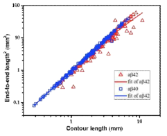 합성된 아밀로이드 베타 섬유의 지속길이의 이론값 및 실험값의 비교Aβ42 (red) and Aβ40