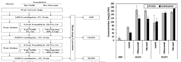 EPS extraction (a) procedure and (b) EPS concentration in activated sludge