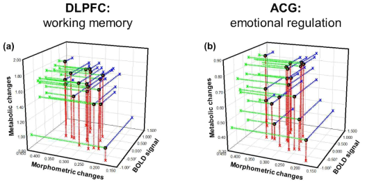 Association of neuronal brain activities, metabolic, and morphometric changes in DLPFC and ACG of GAD patients