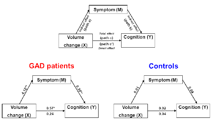 Mediation analysis in GAD patients and controls