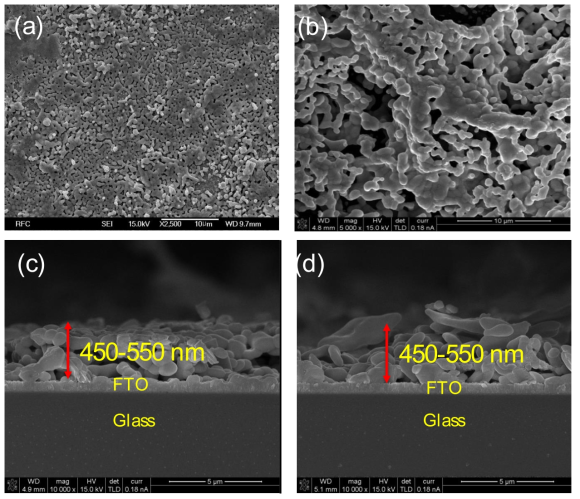 SEM images (top view with Magnify 10 μm and cross section) of the films on the FTO substrates: (a and c) BVO pure, (b and d) 0.5W-2Mo-BVO