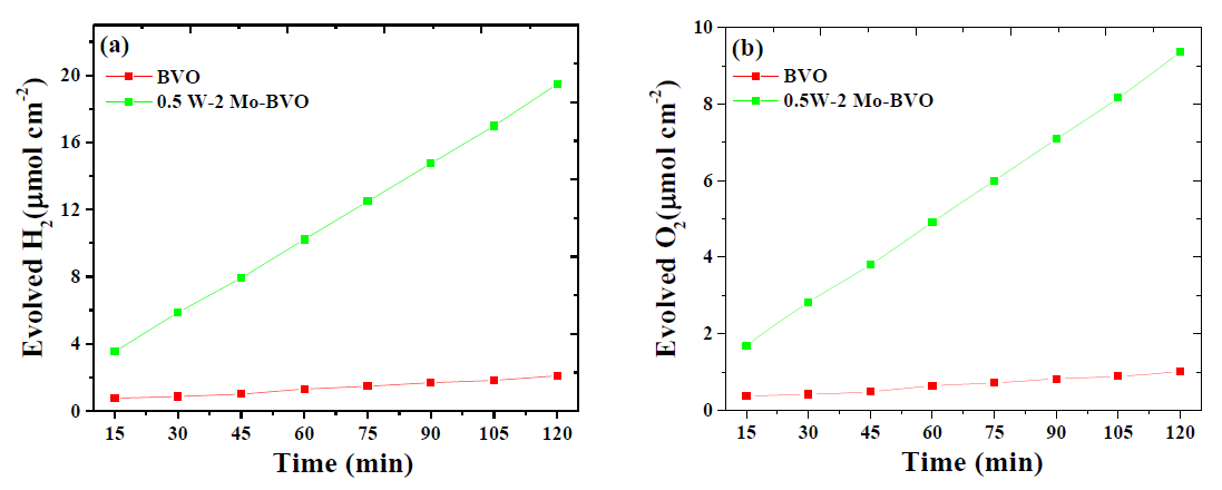 (a) H2 and (b) O2 evolution vs. reaction time per illuminated area (1cm2) for BVO and 0.5W- 2Mo-BVO electrodes at a potential of 0.6 V (vs. Ag/AgCl). Under 100 mW.cm-2 irradiation, electrolyte was a 0.5M (PH=7) aqueous solution of Na2SO4