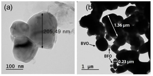 TEM images of the as-prepared (a) BFO and (b) BVO/BFO NCs