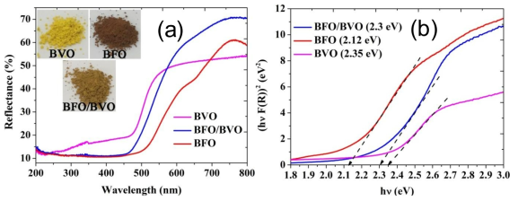 (a) UV-visible diffuse reflectance spectra, and (b) the estimated bandgaps for the BFO, BVO and the BVO/BFO heterojunctions