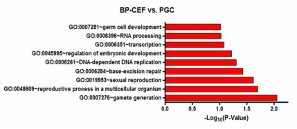 닭 원시생식세포에서 의미있게 발현하는 유전자의 BP 분류