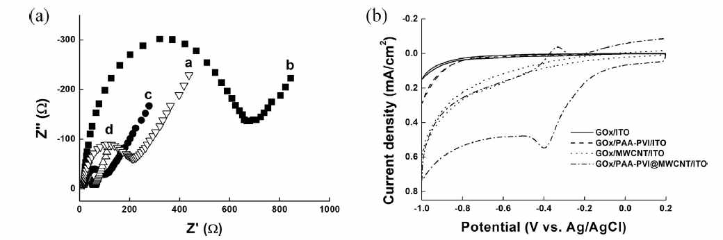 PAA-PVI@MWCNT가 적용된 ITO전극에서의 (a) EIS 스펙트럼과 (b) 순환전압전류 특성