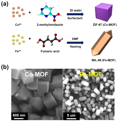 (a) Co, Fe 단성분계 MOF 합성 조건 및 과정 모식도, (b) 개발된 Co 및 Fe-MOF 나노입자의 주사 전자현미경 이미지