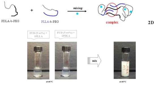 Synthesis of hydrophilic-phobic block copolymers and mixing with model drug