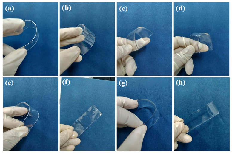 PUA (a and b) and PK/PUA nanocomposite (c and d) films at initial folding and after 20 cycles of folding and defolding for PUA (e and f) and PK/PUA nanocomposite (g and h) films