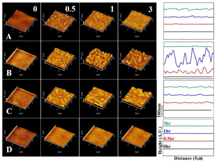 AFM 3D images and corresponding line profiles of samples after enzymatic degradation: (A) PLLA, (B) 2PLLA-3, (C) 4PLLA-3, (D) 4PDLA-3. The numbers in the Figures indicate degradation time (hr)