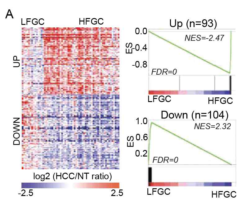 HFGC와 LFGC 간의 발현량의 차이를 보이는 유전자 선별