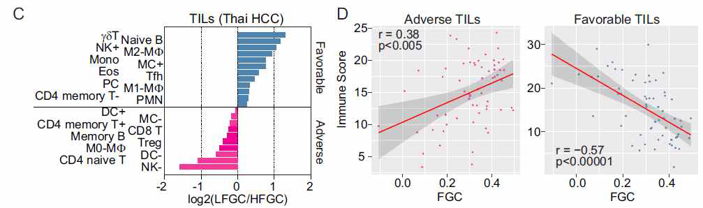 면역세포 타입에 따른 면역감시능과 FGC 사이의 상관성