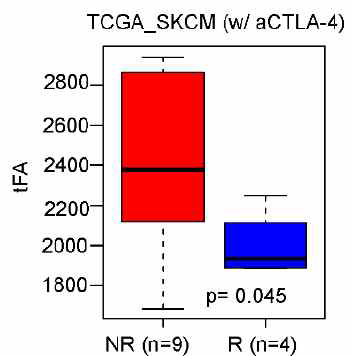 CTLA4 반응성에 따른 FGC비교