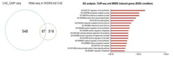 WDR5의 ChIP-seq 데이터와 RNA-seq 데이터 비교 분석