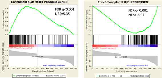 WDR5 taget gene의 GSEA 분석