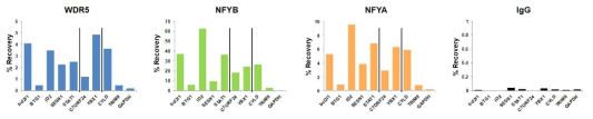 타겟 유전자의 프로모터 부위에서의 WDR5와 NFY의 결합 확인