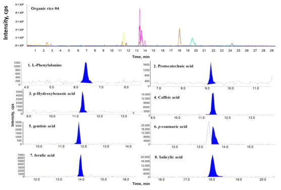 Representative multiple reaction mornitoring (MRM) ion chromatogram of organic rice (OR)-04 and the corresponding extracted ion chromatograms of the detected phenolic compounds