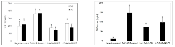 Effect of luteolin and luteolin 7-O-glycoside on the serum AST, ALT (panel A), ALP (panel B) activities, TG, TC (panel C), and TNF-α concentrations (panel D) (mean±SD) in GalN/LPS-intoxicated ICR mice. Values sharing the same superscript are not significantly different at p<0.05 by Duncan’s multiple range test. AST, aspartate aminotransferase; ALT, alanine aminotransferase; ALP, alkaline phosphatase; TG, triglyceride; TC, total cholesterol; TNF, tumor necrosis factor