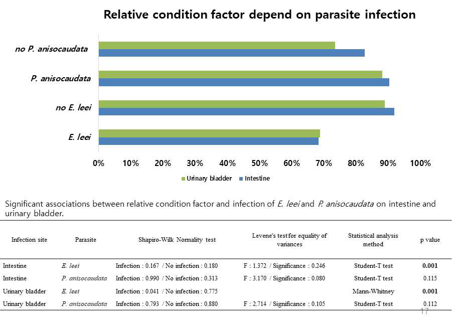 장과 방광에서의 E. leei와 P. anisodaudata 검출과 상대비만도의 통계적 상관관계 분석
