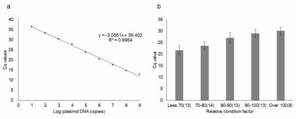 상대비만도와 기생충 감염정도 비교를 위한 Cq(cycle quantification) value (a) E. leei 18S rDNA plasmid를 이용한 standard curve (b) 상대비만도에 따른 Cq value 변화