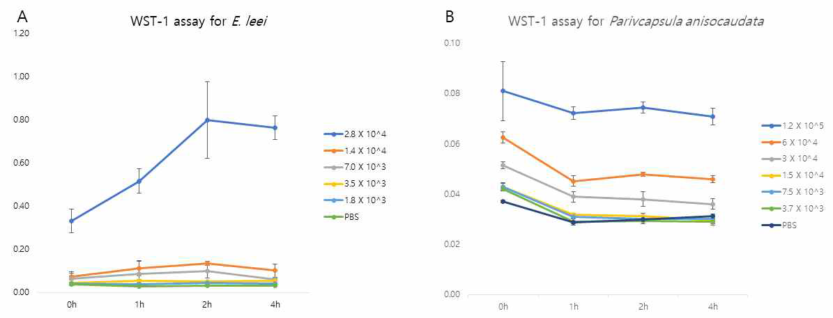 WST-1 assay를 이용한 (A)E. leei와 (B)P. anisocaudata 의 생존성 검사