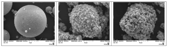 SEM images of zeolite materials synthesized from YFA-1 at NaOH/YFA = 0.6