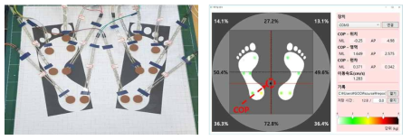 족저압 측정 발판의 압력센서 배열 및 COP 측정 화면