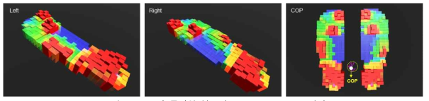 COP와 족저압 분포의 3D Visualization 결과