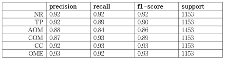 Precision, recall, F1-score of Augmentation dataset