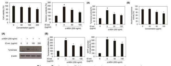 Inonotus Obliquus extracts repress melanogenesis